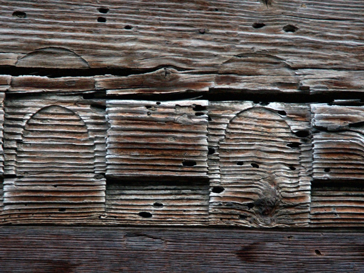 On Living in the Desert by Jacob Marques&nbsp;Rollison