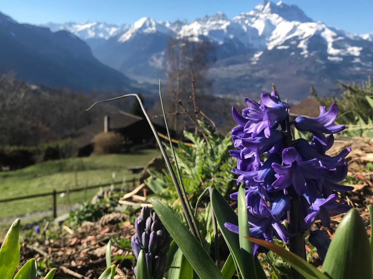 Imagination and Hope by Aaron&nbsp;Fortune