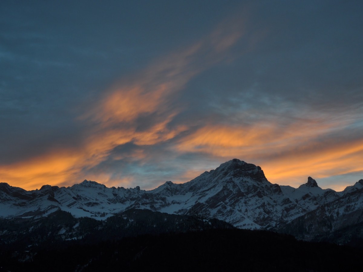 Grappling with Grace by Richard&nbsp;Bradford